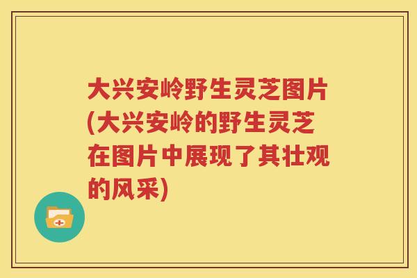 大兴安岭野生灵芝图片(大兴安岭的野生灵芝在图片中展现了其壮观的风采)