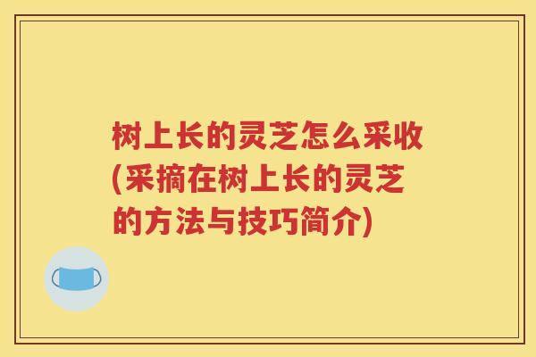 树上长的灵芝怎么采收(采摘在树上长的灵芝的方法与技巧简介)