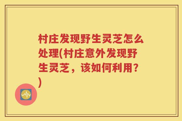 村庄发现野生灵芝怎么处理(村庄意外发现野生灵芝，该如何利用？)