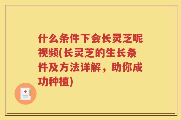 什么条件下会长灵芝呢视频(长灵芝的生长条件及方法详解，助你成功种植)