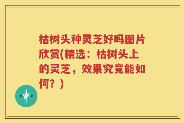 枯树头种灵芝好吗图片欣赏(精选：枯树头上的灵芝，效果究竟能如何？)