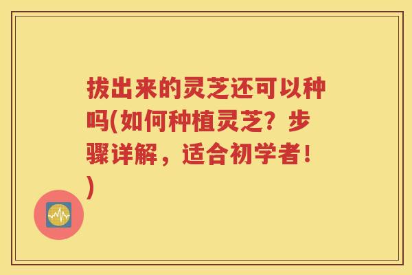 拔出来的灵芝还可以种吗(如何种植灵芝？步骤详解，适合初学者！)