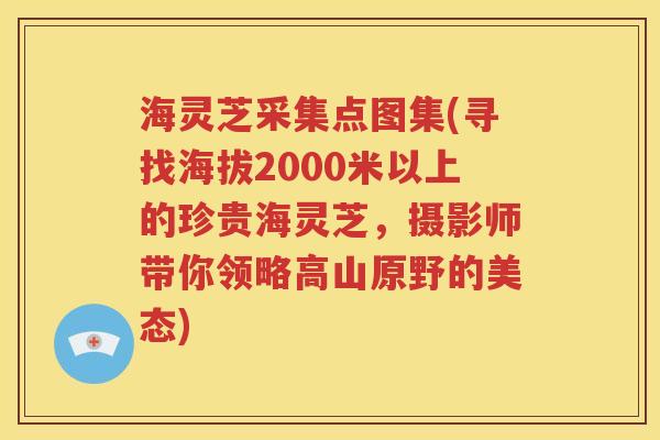 海灵芝采集点图集(寻找海拔2000米以上的珍贵海灵芝，摄影师带你领略高山原野的美态)