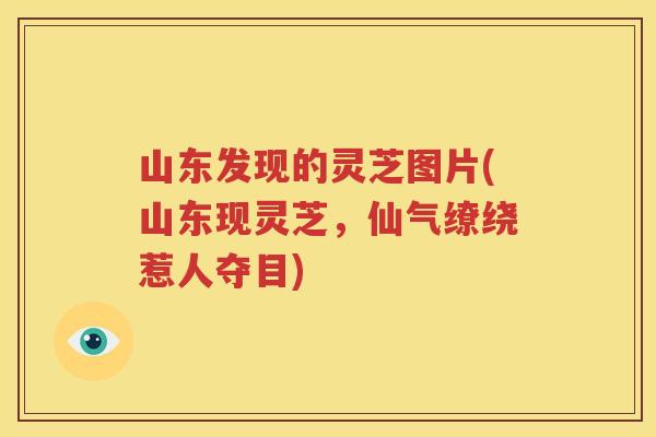 山东发现的灵芝图片(山东现灵芝，仙气缭绕惹人夺目)