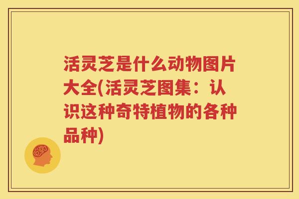 活灵芝是什么动物图片大全(活灵芝图集：认识这种奇特植物的各种品种)