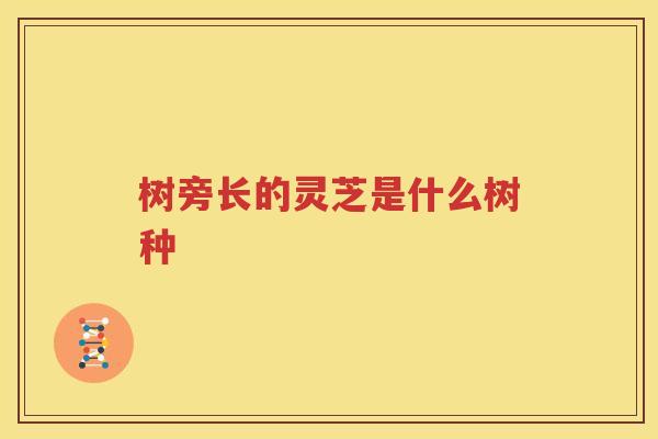 树旁长的灵芝是什么树种