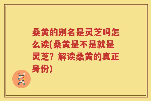 桑黄的别名是灵芝吗怎么读(桑黄是不是就是灵芝？解读桑黄的真正身份)