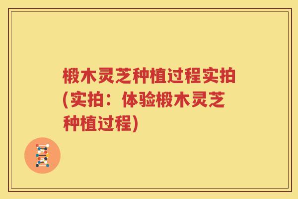 椴木灵芝种植过程实拍(实拍：体验椴木灵芝种植过程)