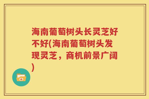 海南葡萄树头长灵芝好不好(海南葡萄树头发现灵芝，商机前景广阔)