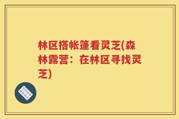 林区搭帐篷看灵芝(森林露营：在林区寻找灵芝)