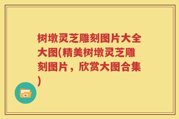 树墩灵芝雕刻图片大全大图(精美树墩灵芝雕刻图片，欣赏大图合集)
