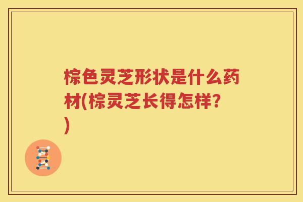棕色灵芝形状是什么药材(棕灵芝长得怎样？)