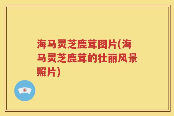 海马灵芝鹿茸图片(海马灵芝鹿茸的壮丽风景照片)