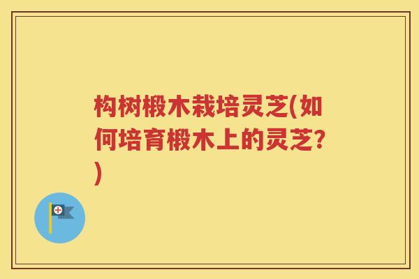 构树椴木栽培灵芝(如何培育椴木上的灵芝？)