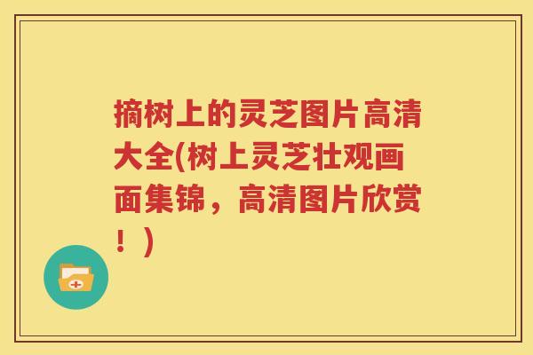 摘树上的灵芝图片高清大全(树上灵芝壮观画面集锦，高清图片欣赏！)