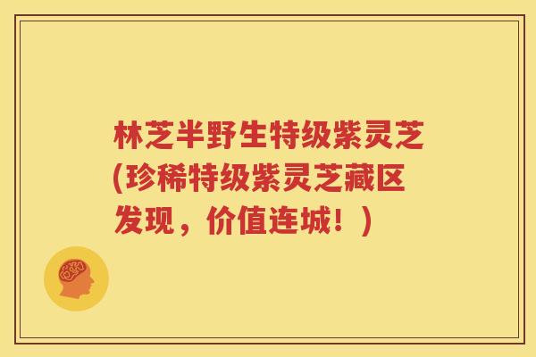 林芝半野生特级紫灵芝(珍稀特级紫灵芝藏区发现，价值连城！)