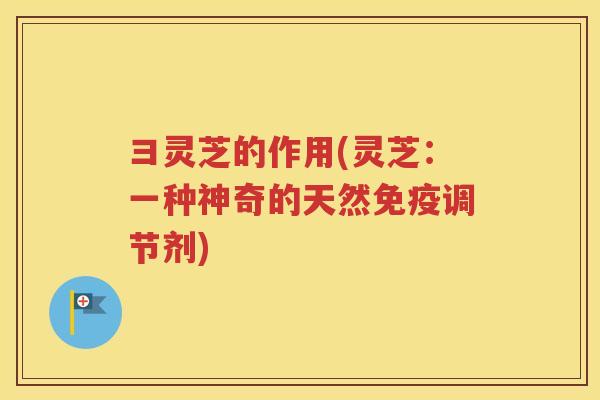 彐灵芝的作用(灵芝：一种神奇的天然免疫调节剂)