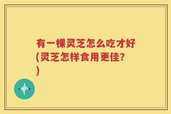 有一棵灵芝怎么吃才好(灵芝怎样食用更佳？)