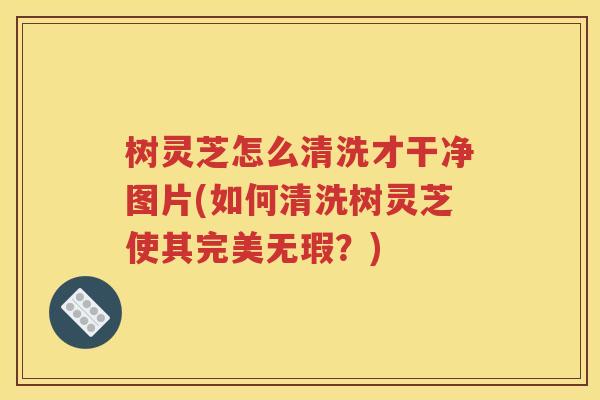 树灵芝怎么清洗才干净图片(如何清洗树灵芝使其完美无瑕？)