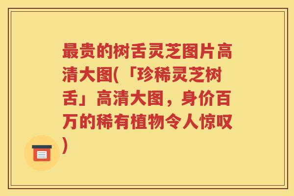 最贵的树舌灵芝图片高清大图(「珍稀灵芝树舌」高清大图，身价百万的稀有植物令人惊叹)