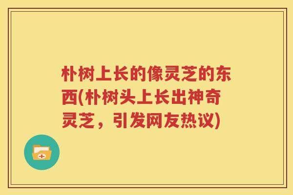 朴树上长的像灵芝的东西(朴树头上长出神奇灵芝，引发网友热议)