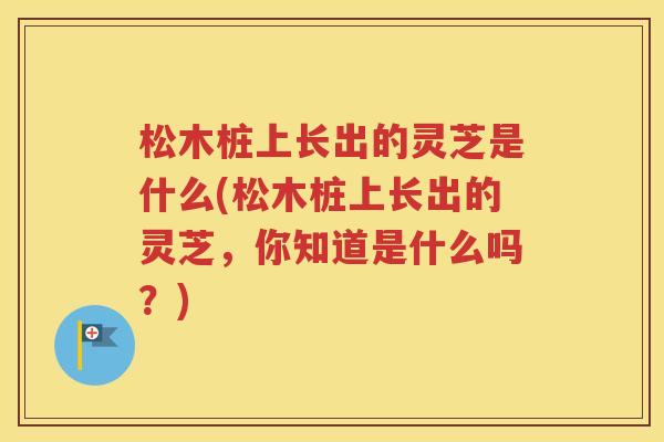 松木桩上长出的灵芝是什么(松木桩上长出的灵芝，你知道是什么吗？)