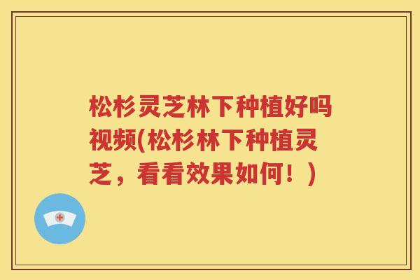 松杉灵芝林下种植好吗视频(松杉林下种植灵芝，看看效果如何！)