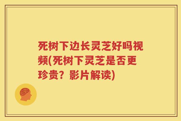 死树下边长灵芝好吗视频(死树下灵芝是否更珍贵？影片解读)