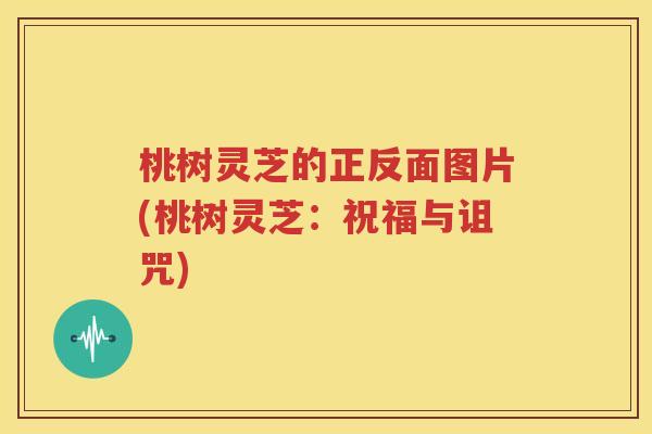 桃树灵芝的正反面图片(桃树灵芝：祝福与诅咒)