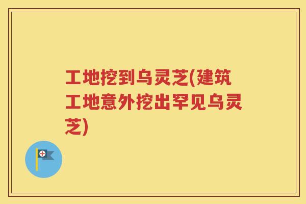 工地挖到乌灵芝(建筑工地意外挖出罕见乌灵芝)