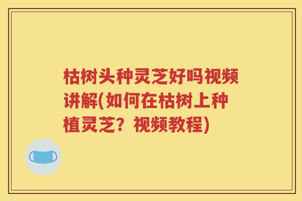 枯树头种灵芝好吗视频讲解(如何在枯树上种植灵芝？视频教程)