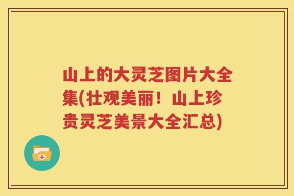 山上的大灵芝图片大全集(壮观美丽！山上珍贵灵芝美景大全汇总)