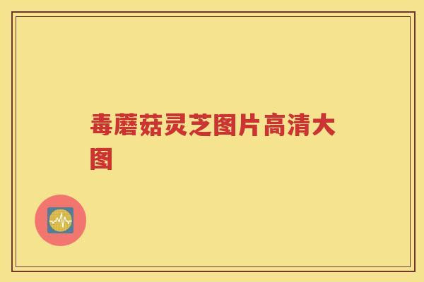 毒蘑菇灵芝图片高清大图