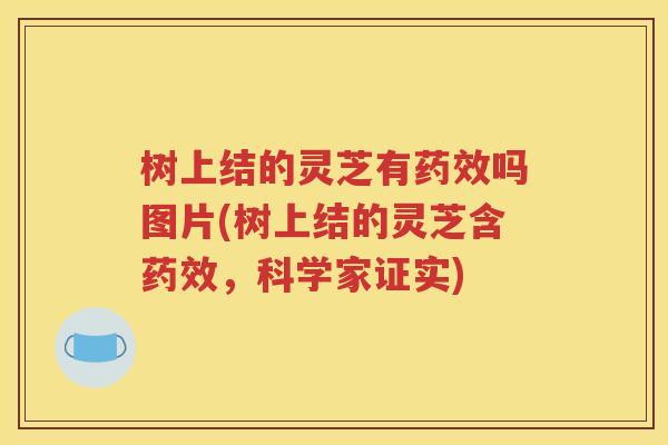 树上结的灵芝有药效吗图片(树上结的灵芝含药效，科学家证实)