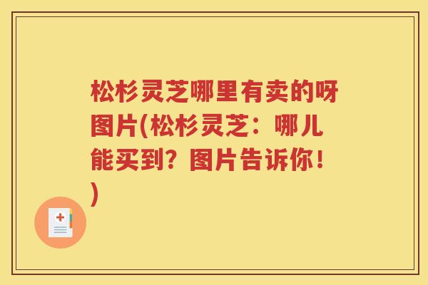 松杉灵芝哪里有卖的呀图片(松杉灵芝：哪儿能买到？图片告诉你！)