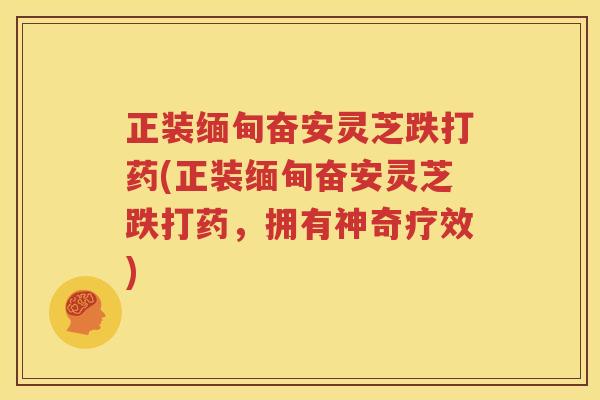 正装缅甸奋安灵芝跌打药(正装缅甸奋安灵芝跌打药，拥有神奇疗效)