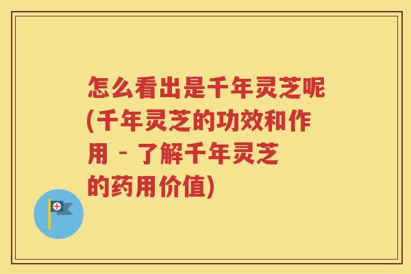 怎么看出是千年灵芝呢(千年灵芝的功效和作用 - 了解千年灵芝的药用价值)