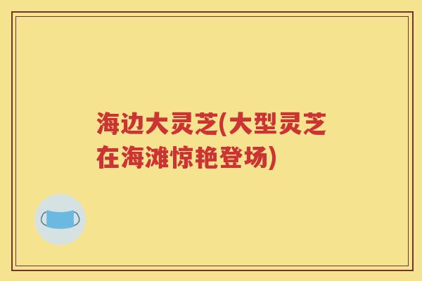 海边大灵芝(大型灵芝在海滩惊艳登场)