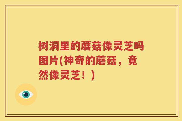 树洞里的蘑菇像灵芝吗图片(神奇的蘑菇，竟然像灵芝！)