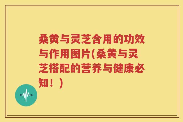 桑黄与灵芝合用的功效与作用图片(桑黄与灵芝搭配的营养与健康必知！)
