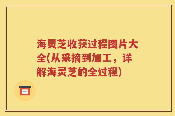 海灵芝收获过程图片大全(从采摘到加工，详解海灵芝的全过程)