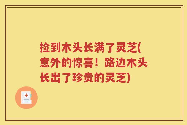捡到木头长满了灵芝(意外的惊喜！路边木头长出了珍贵的灵芝)
