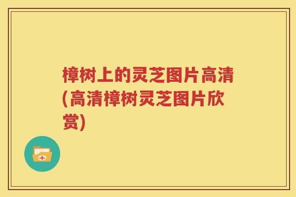 樟树上的灵芝图片高清(高清樟树灵芝图片欣赏)