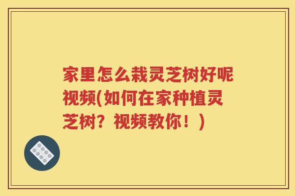 家里怎么栽灵芝树好呢视频(如何在家种植灵芝树？视频教你！)