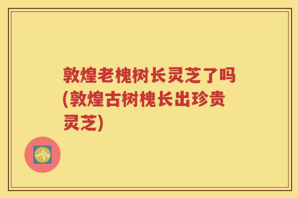 敦煌老槐树长灵芝了吗(敦煌古树槐长出珍贵灵芝)