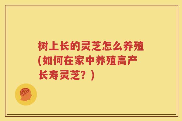 树上长的灵芝怎么养殖(如何在家中养殖高产长寿灵芝？)