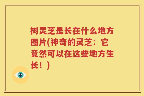 树灵芝是长在什么地方图片(神奇的灵芝：它竟然可以在这些地方生长！)