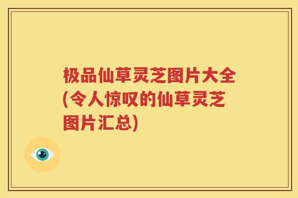 极品仙草灵芝图片大全(令人惊叹的仙草灵芝图片汇总)