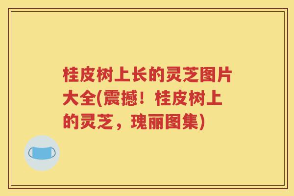 桂皮树上长的灵芝图片大全(震撼！桂皮树上的灵芝，瑰丽图集)