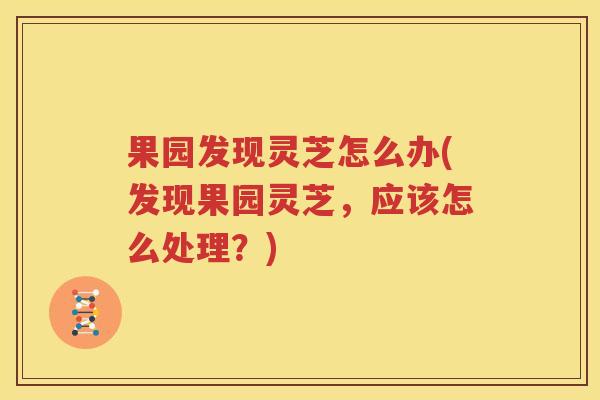 果园发现灵芝怎么办(发现果园灵芝，应该怎么处理？)